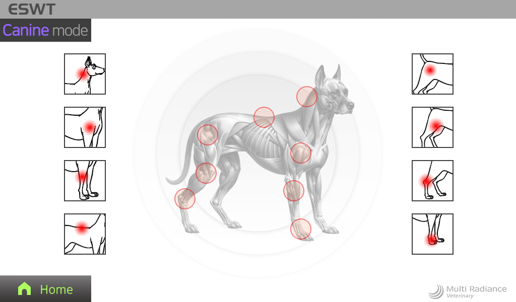 canine_25mm1.png