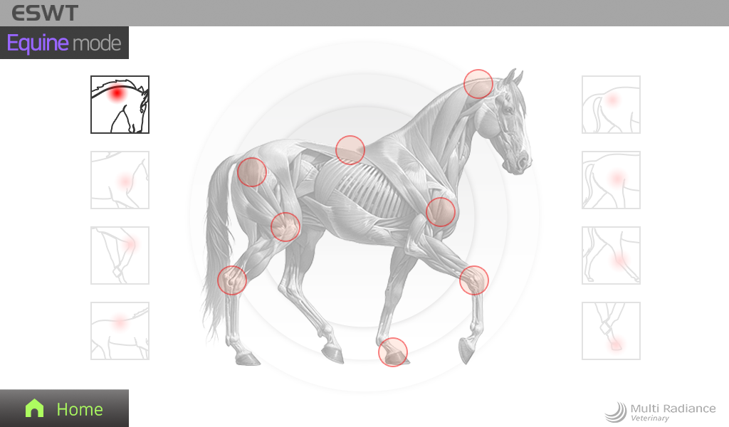 equine_25mm.png