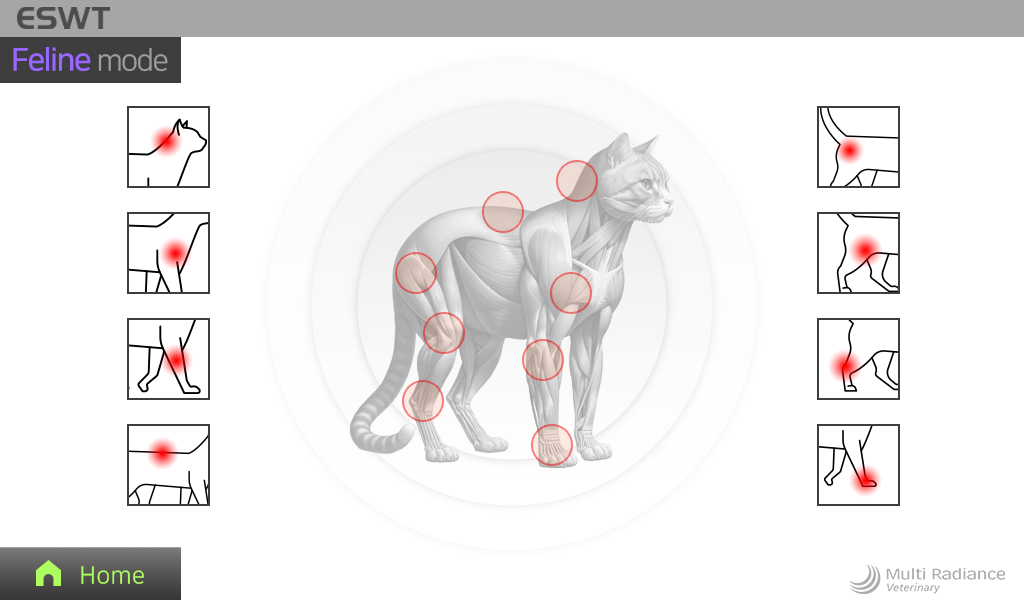 feline_60mm.png